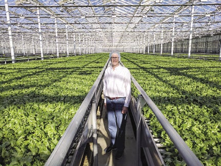 Little Leaf Farms to Expand in Pennsylvania