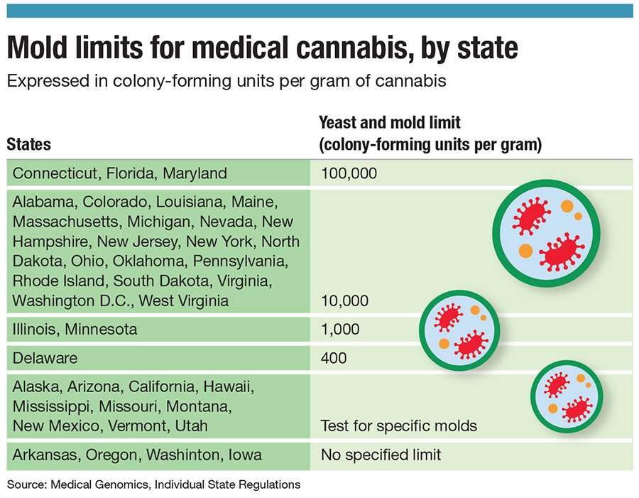 A chart showing the mold limits in cannabis, by state