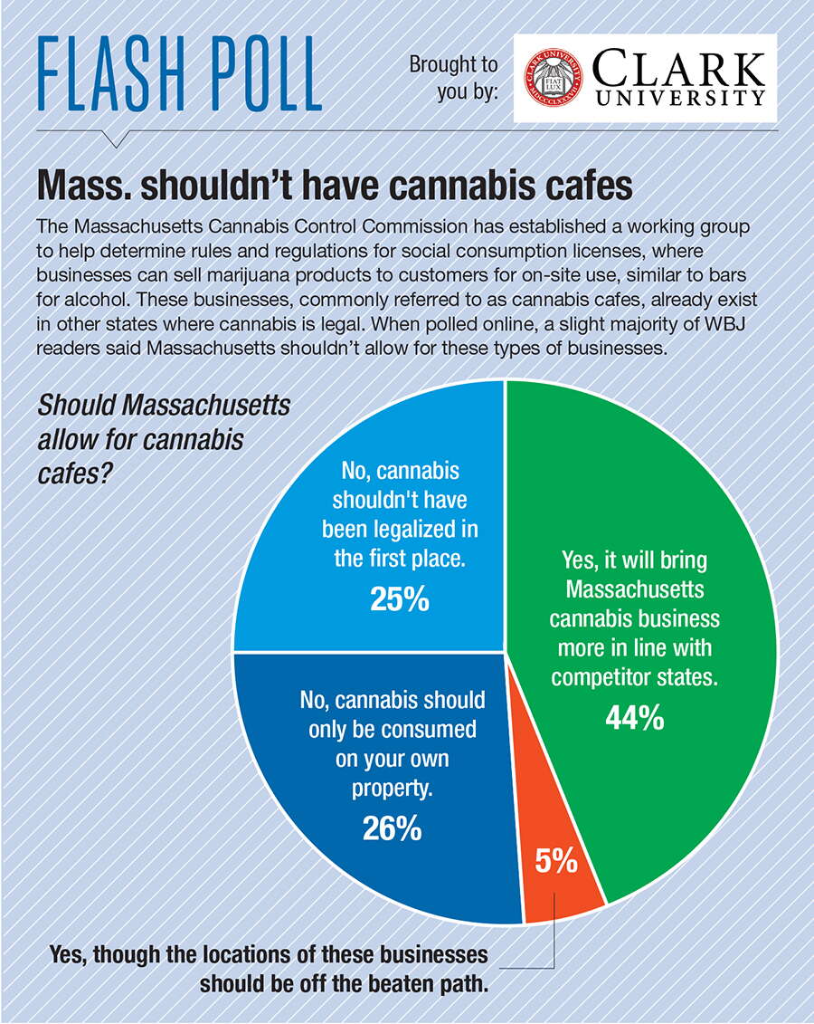 A pie graph of poll results