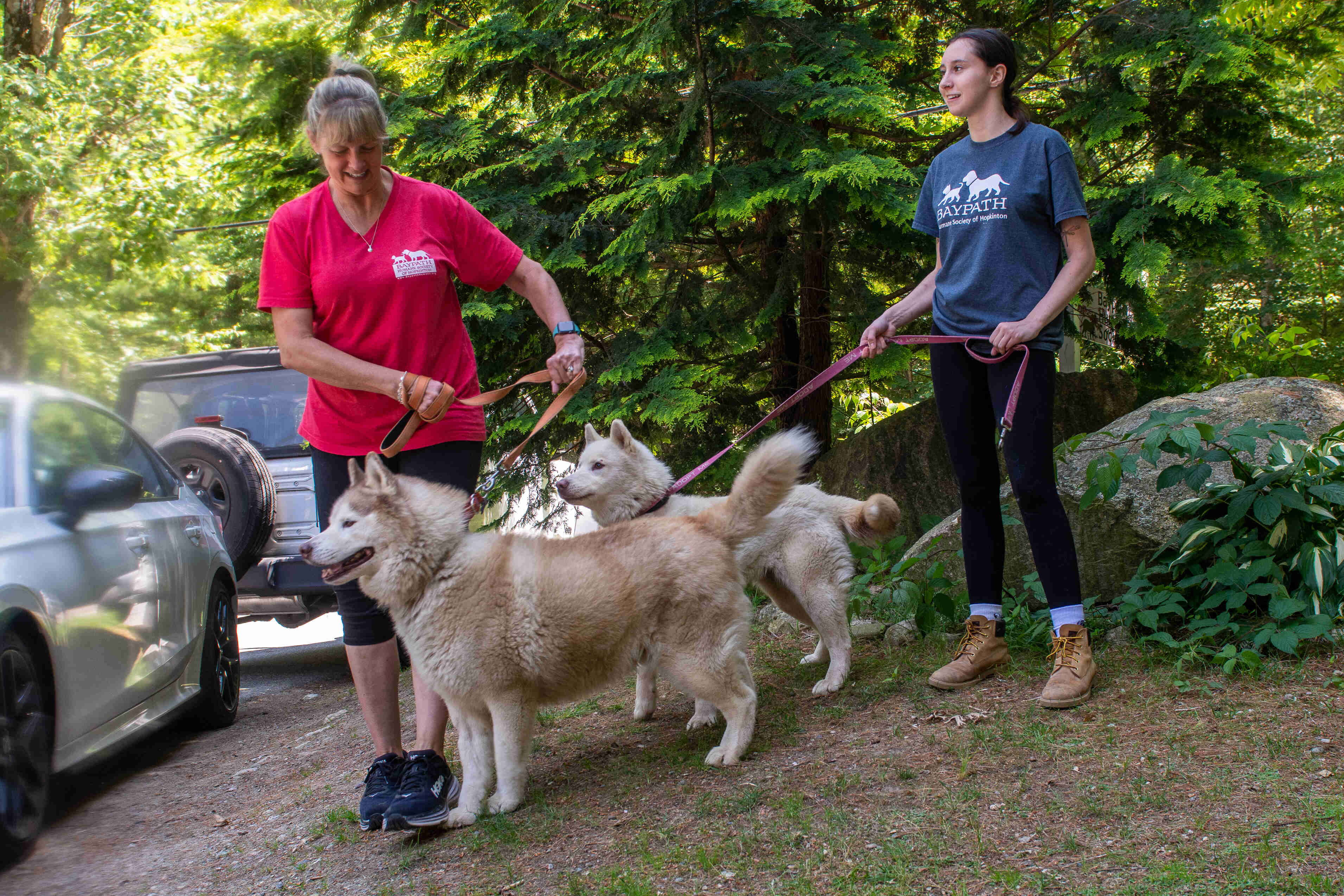 Two women walking two dogs