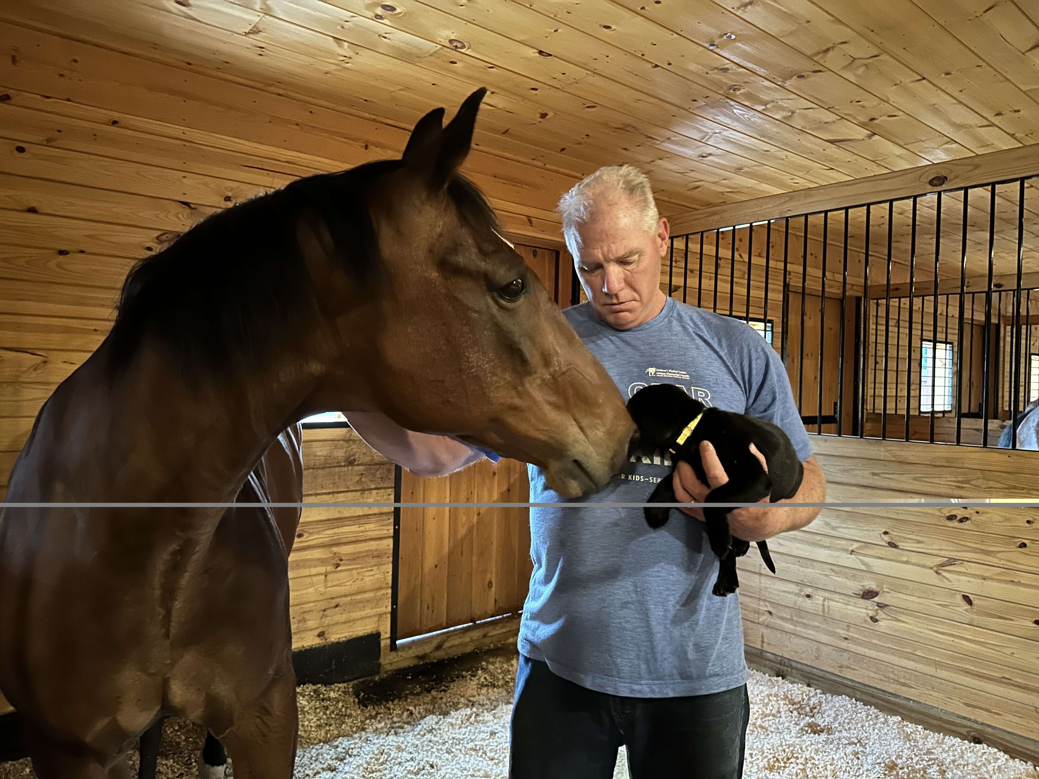 A man stands in a stable petting a brown horse while holding a black lab puppy.