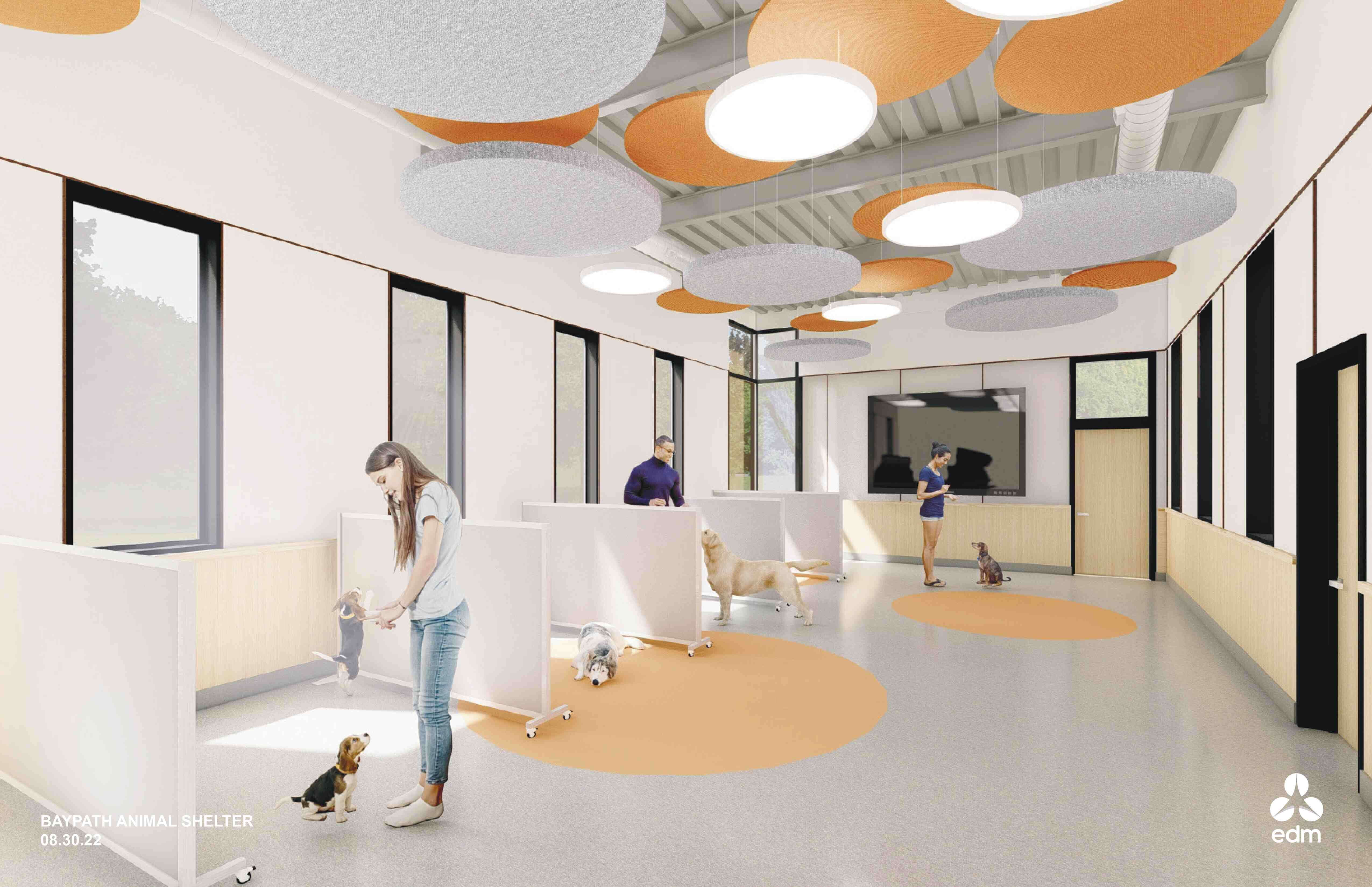 A rendering of the interior of an animal shelter showing dogs 
