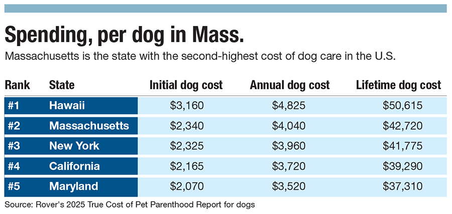 A chart on dog spending