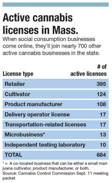 chart of amount of cannabis business licenses in Massachusetts