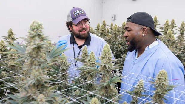 Two men talk in a room full of plants.