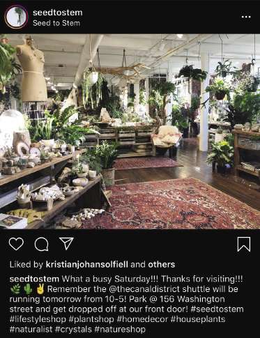 Seed to Stem, on Instagram as @seedtostem, uses social media to mimic the look and feel of their brick and mortar shop.
