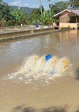 A machine churns water with a verdant background and a worker 