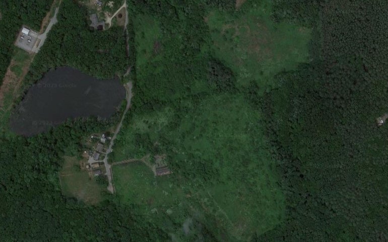 A satellite image of farmland and forest