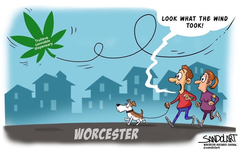 An editorial cartoon where two people walking a dog see a leaf flying away, representing the Trulieve closures.