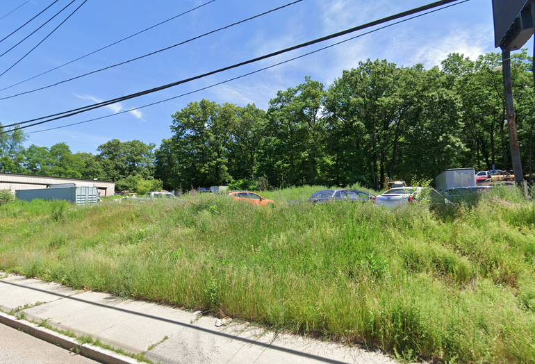 An overgrown lot with cars in it.