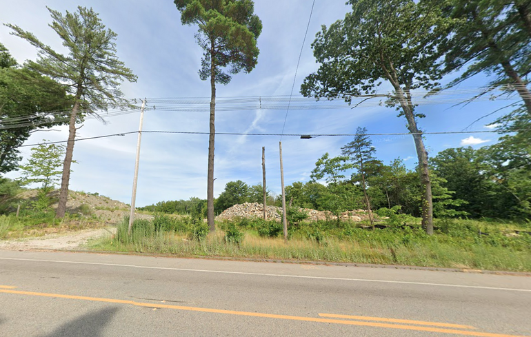 An empty lot with trees growing in it