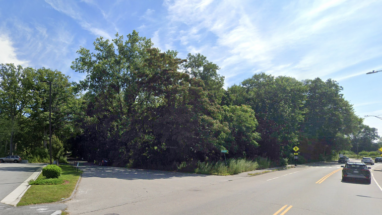A wooded area next to a road