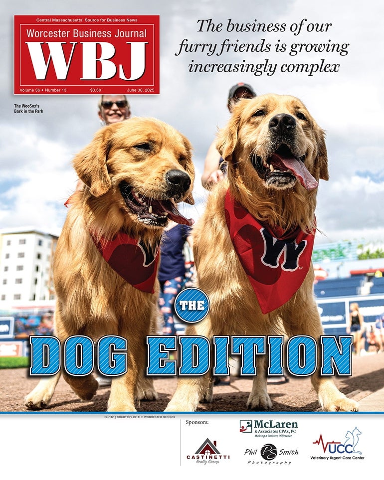A cover of a magazine featuring two dogs and the words "The Dog Edition".