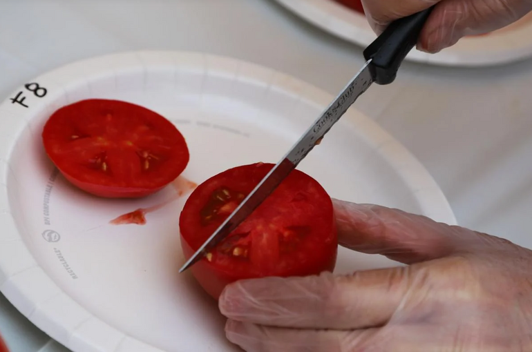 Close up of a tomato being sliced on a paper plate