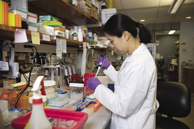 Jisun Lee, a postdoctoral fellow at UMass Chan Medical School, works in the Worcester school’s lab.