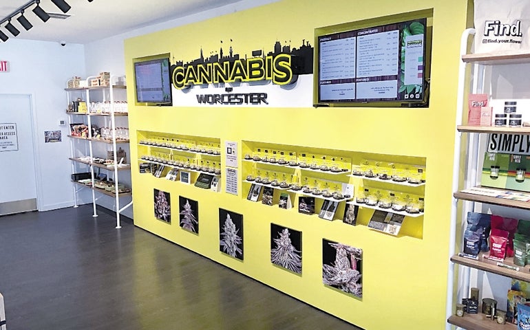 A yellow wall display in a retail cannabis store