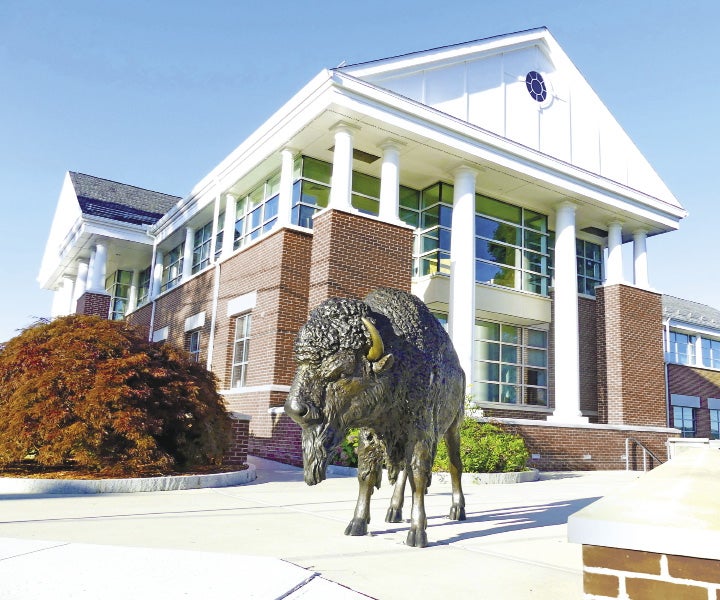 A large building with a statue of a bison in front of it. 