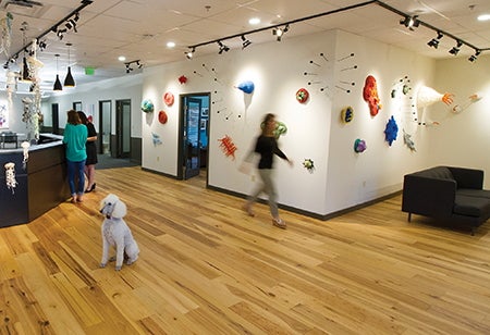 innovative workspaces innovative workspaces