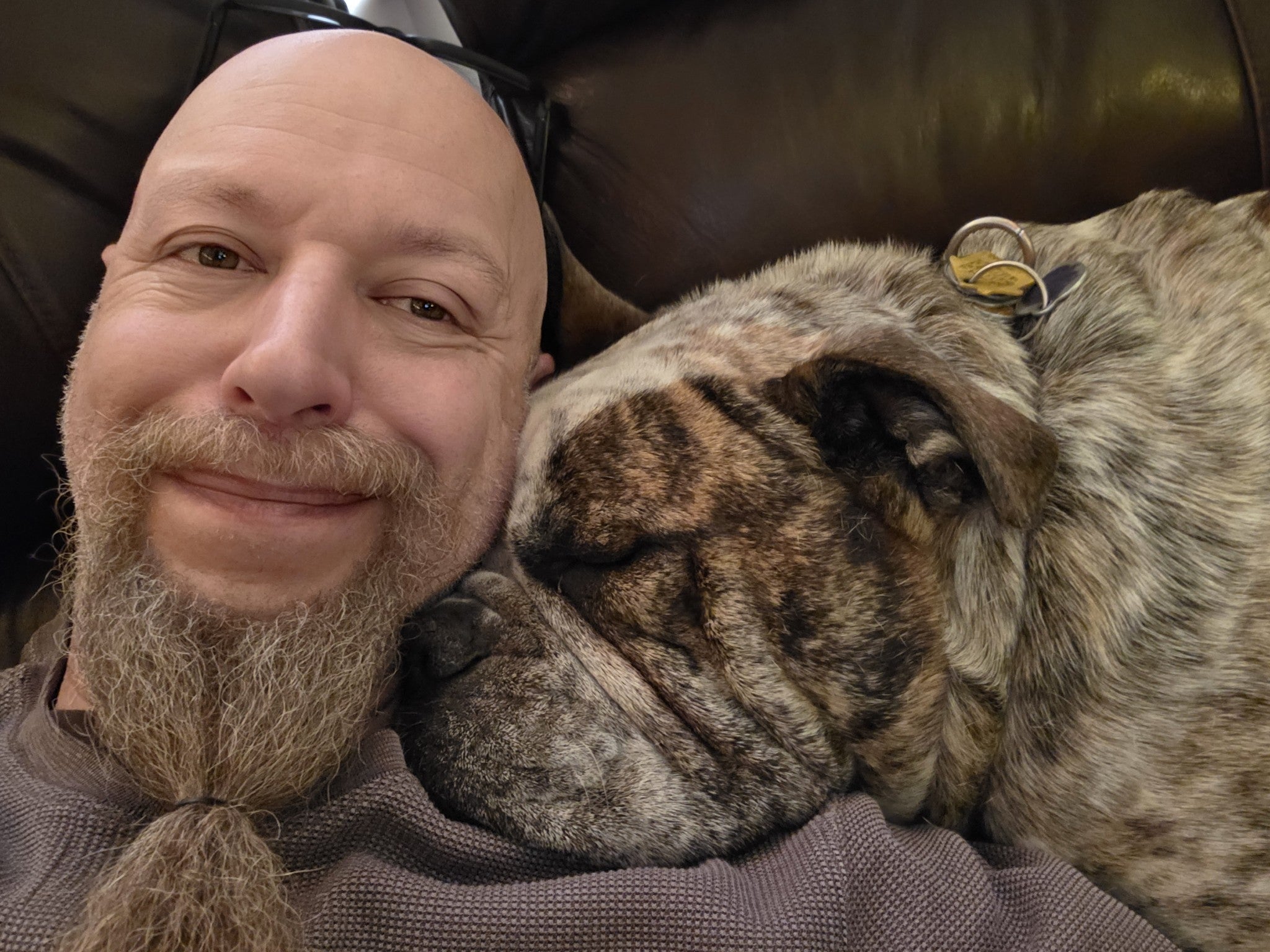 A man with a long beard snuggles on a couch with a large bulldog. 