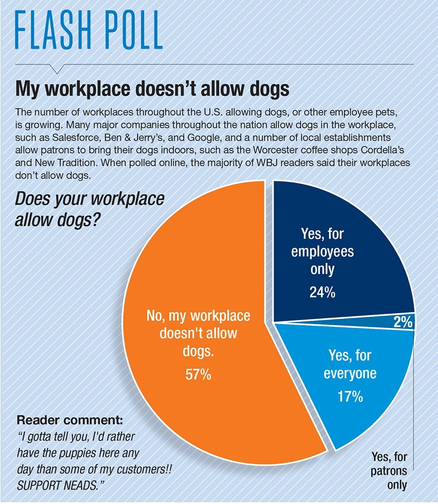 A Flash Poll showing most workplaces in Central Mass. don't allow dogs.