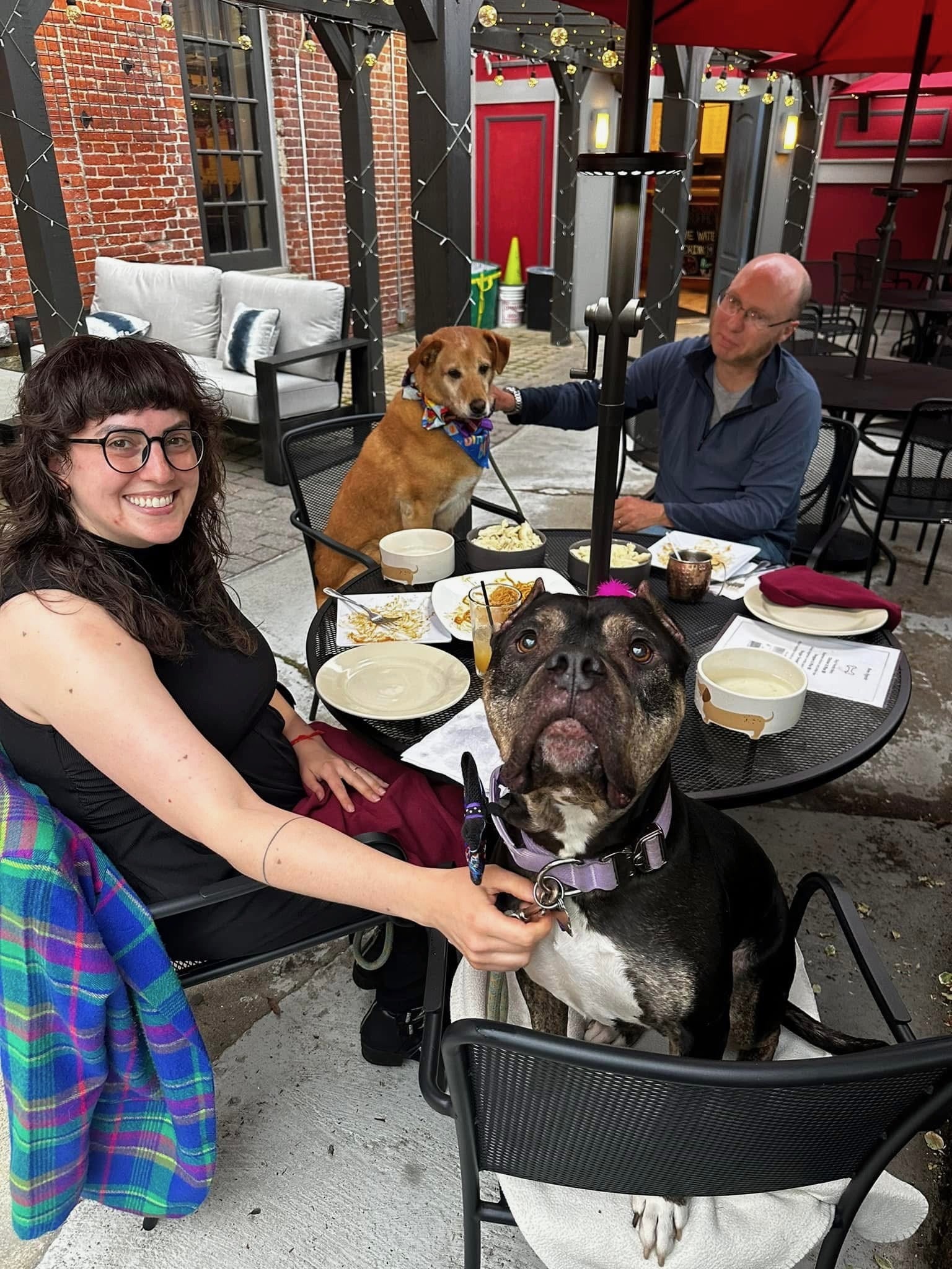 Two people sit outside at a table with two dogs on the seats next to them with food on the table.