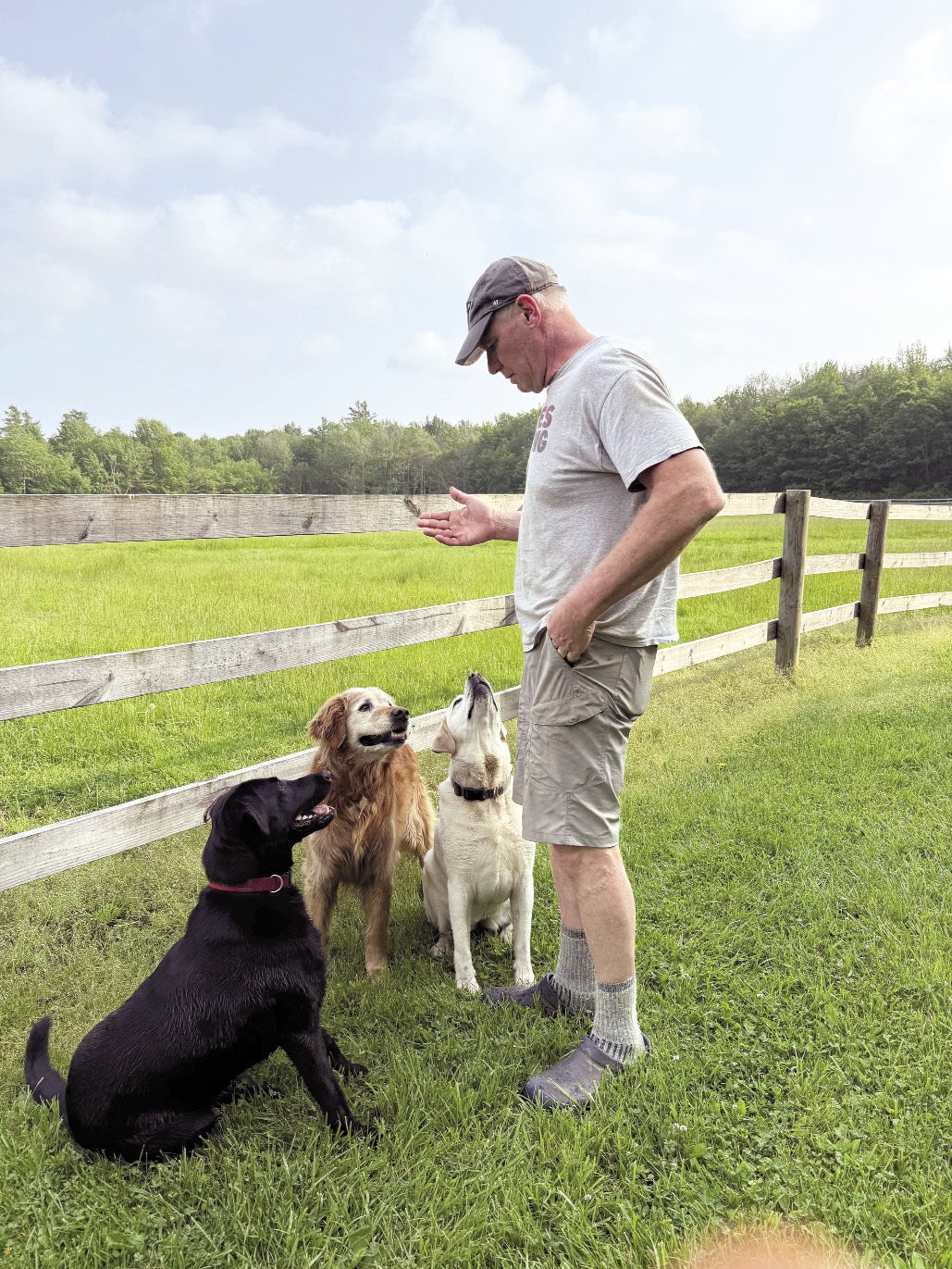A man stands on farmland with a black lab, yellow lab, and golden retriever sitting in front of him looking up at him.