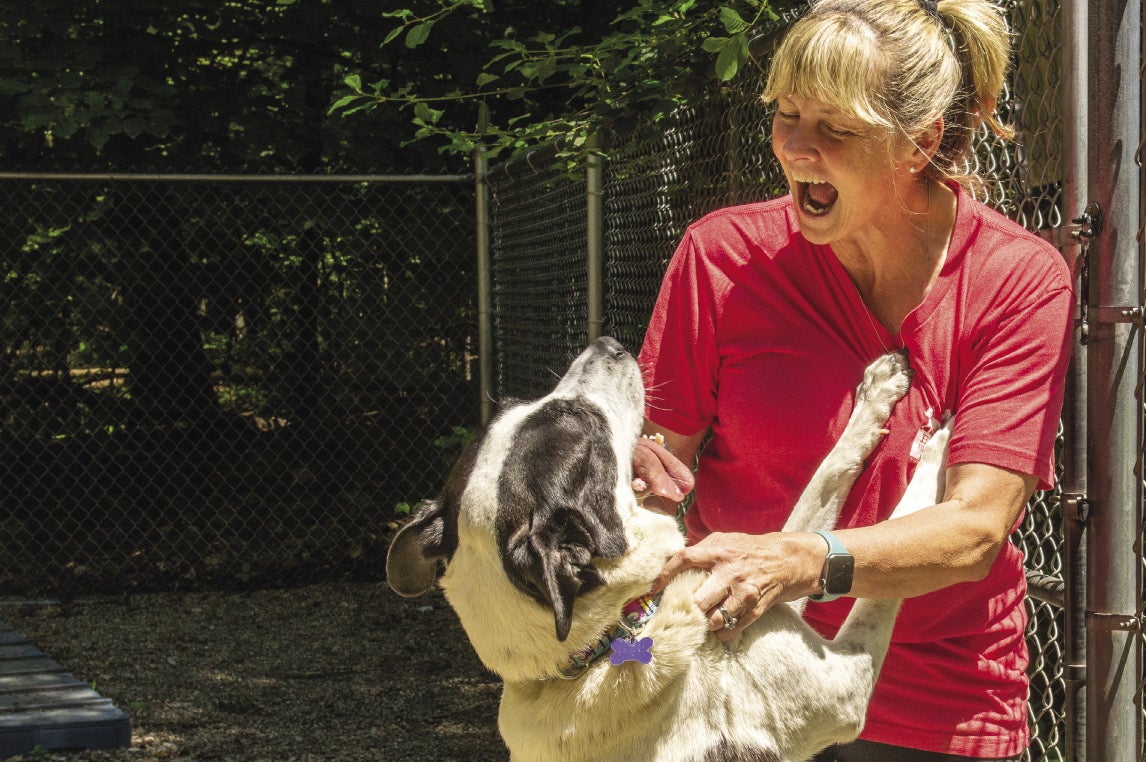 A black-and-white dog jumps on a blonde woman wearing a red shirt.